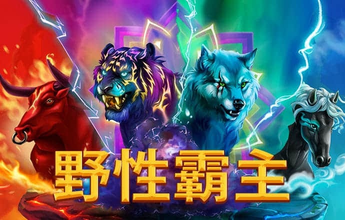 爱游戏app最新登录入口